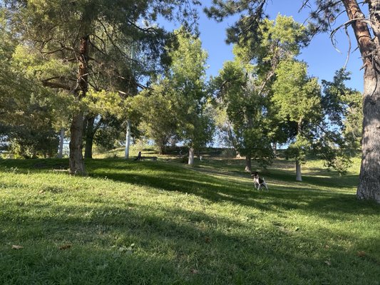 Lindsey Gardens Park Off-Leash Area dog park