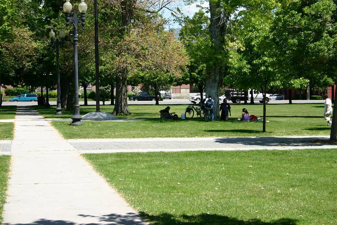Pioneer Park Dog Area dog park