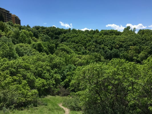 Rotary Glen Dog Park dog park